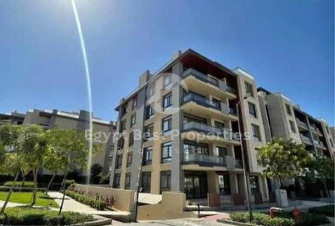 8166494 - Property Image 3