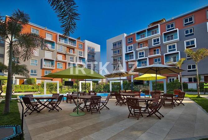 8504528 - Property Image 2