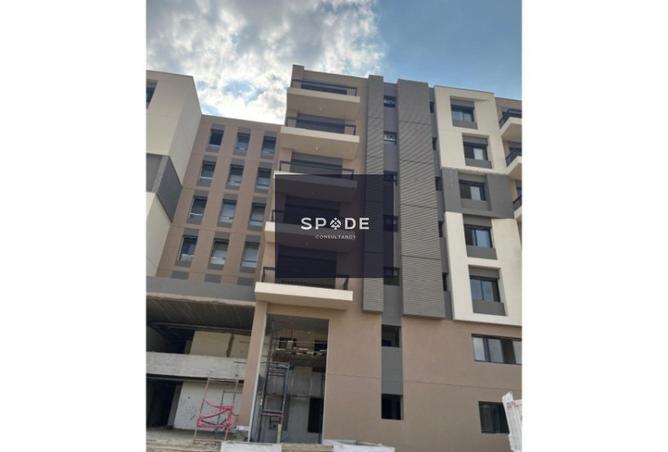 7898728 - Property Image 3