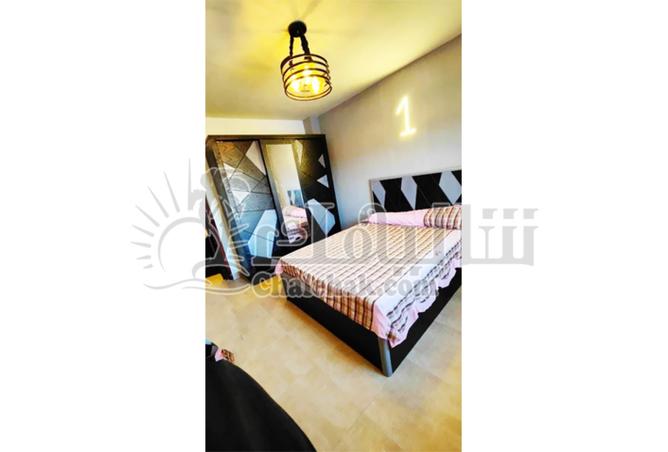 8123487 - Property Image 2