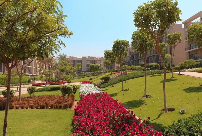 8337915 - Property Image 2