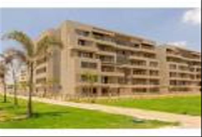 7966502 - صورة العقار 2