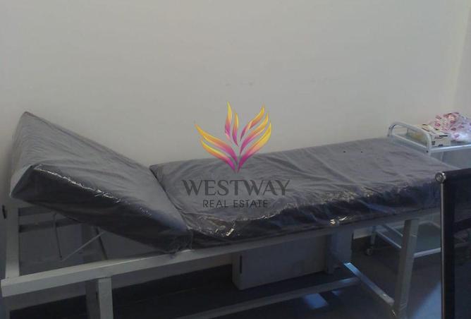 8133887 - Property Image 3