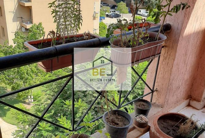 7955763 - صورة العقار 2