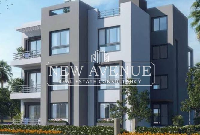 8231864 - صورة العقار 3