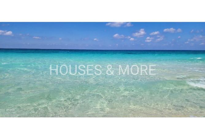 8120653 - صورة العقار 3