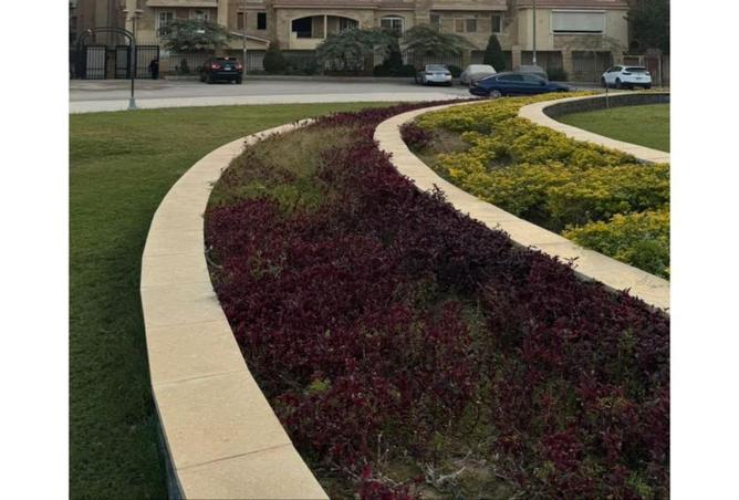 8481057 - الصورة الرئيسية للعقار