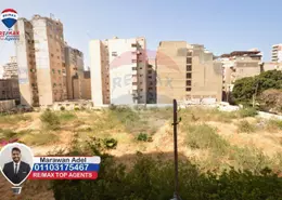شقة - 4 غرف نوم - 3 حمامات للبيع في شارع إبراهيم راضى - بولكلي - حي شرق - الاسكندرية