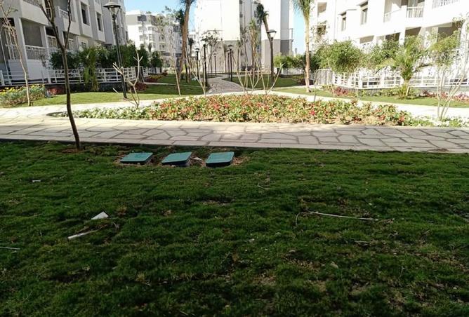 8064105 - صورة العقار 3