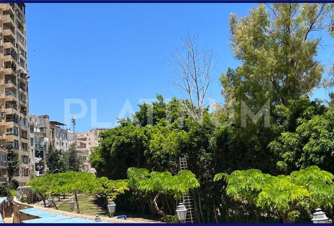 7930232 - Property Image 3