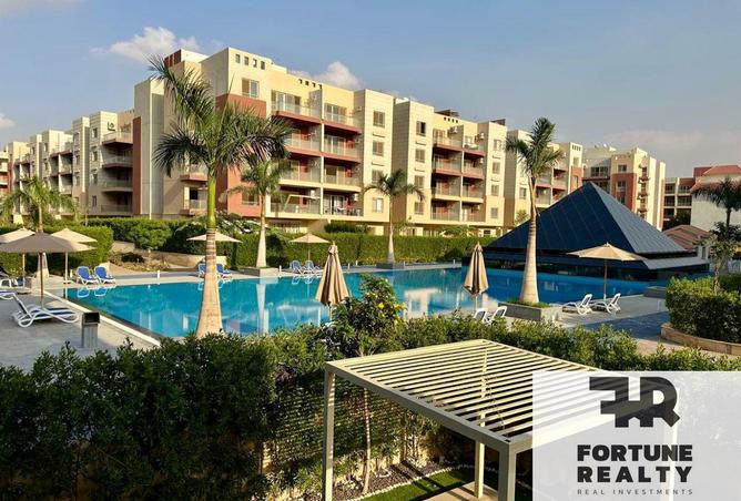 8541114 - Property Image 3