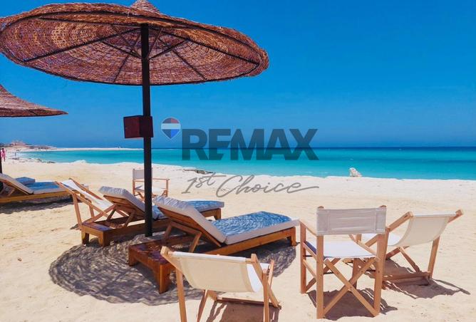 8268684 - Property Image 3