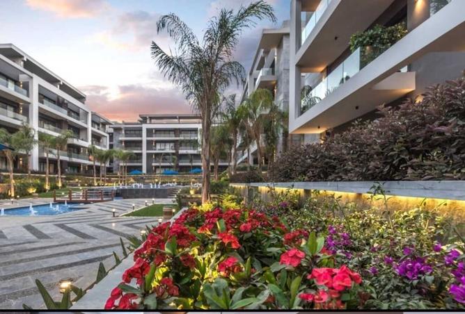 8414732 - Property Image 2