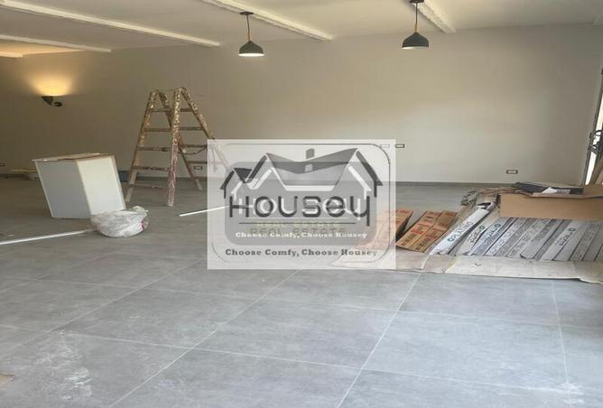 8375816 - Property Image 3