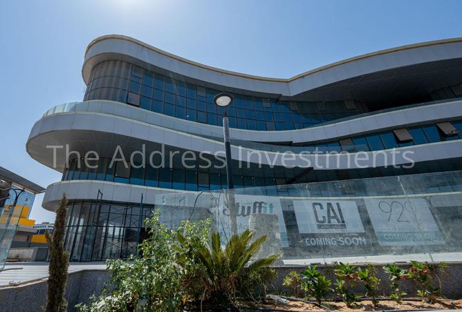 8031761 - Property Image 3