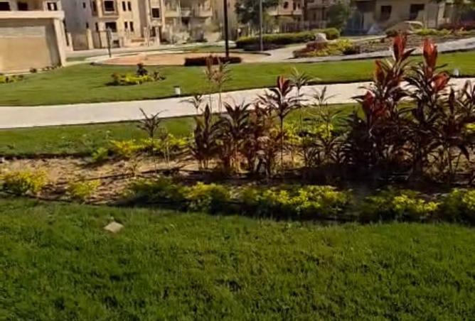 8518518 - صورة العقار 2