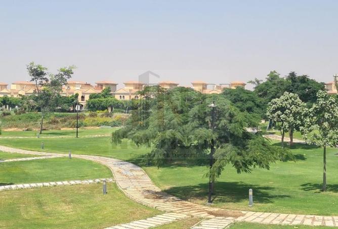 8385482 - صورة العقار 3