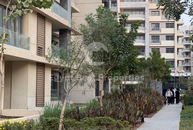 8337310 - صورة العقار 3