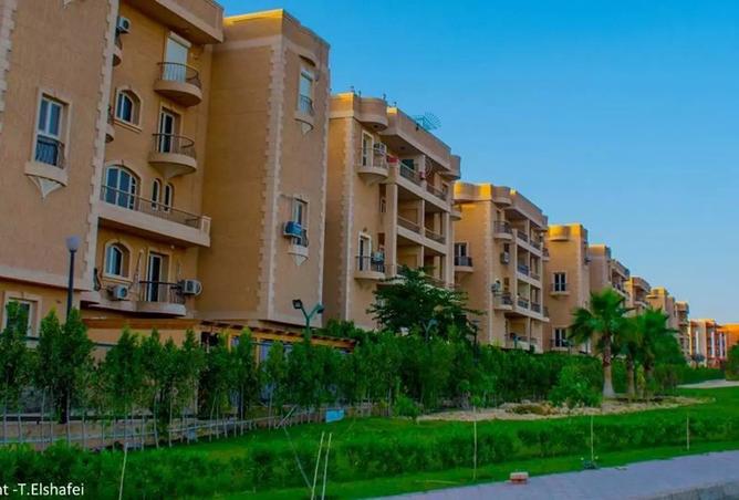 8034947 - Property Image 3