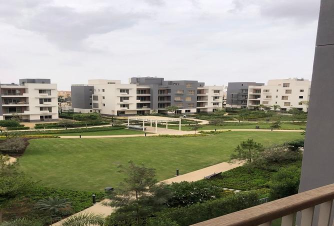 7968971 - صورة العقار 3