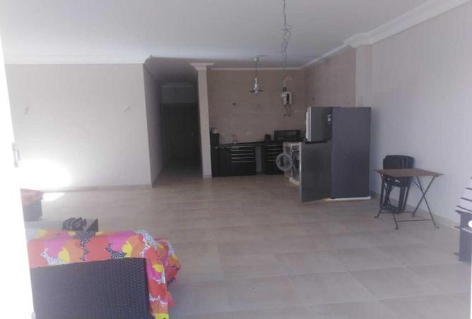 8126916 - Property Image 3