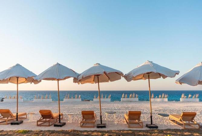 8248369 - صورة العقار 2