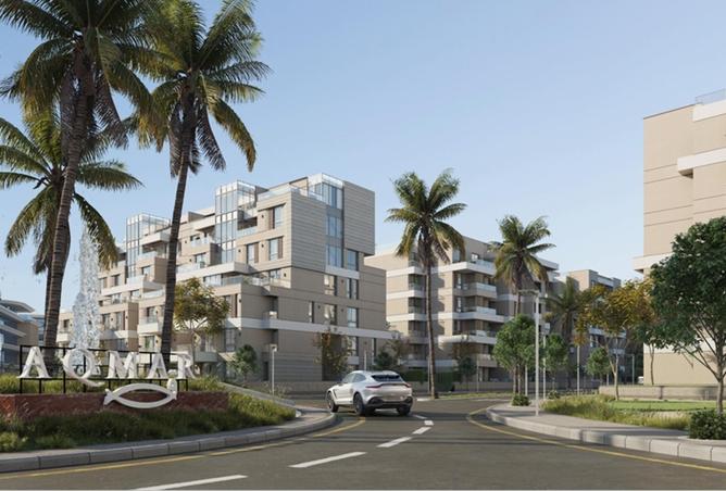 8156835 - Property Image 3