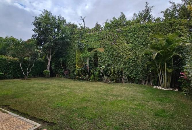 8470688 - الصورة الرئيسية للعقار