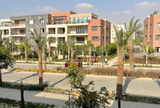 8323422 - Property Image 2