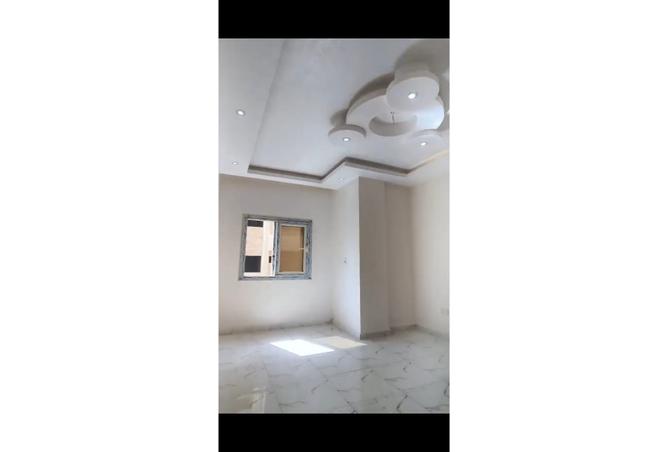 7974277 - صورة العقار 2