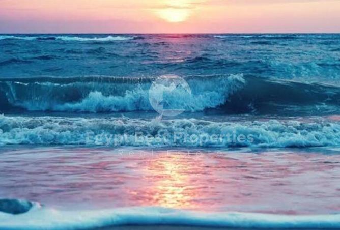 7887828 - صورة العقار 3