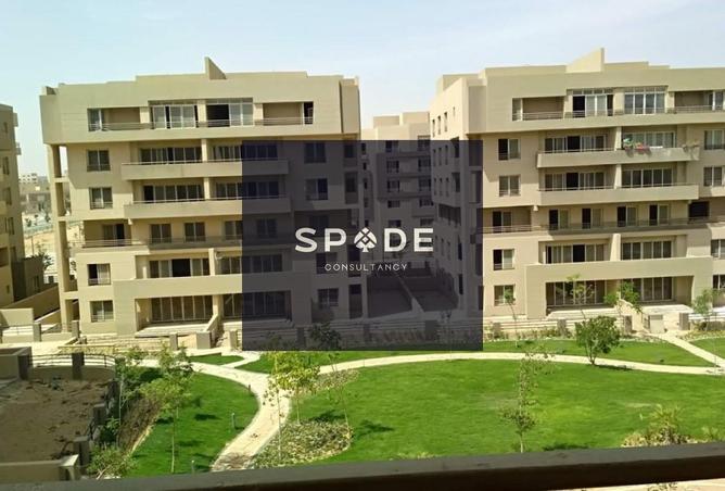 8194086 - Property Image 2