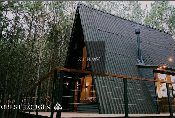 8528390 - Property Image 3