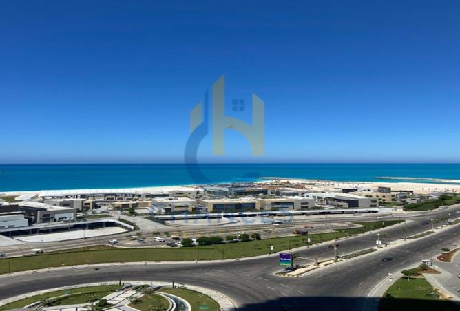 8558624 - Property Image 3