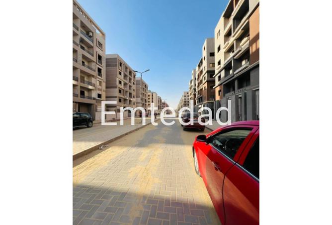 8378729 - Property Image 3