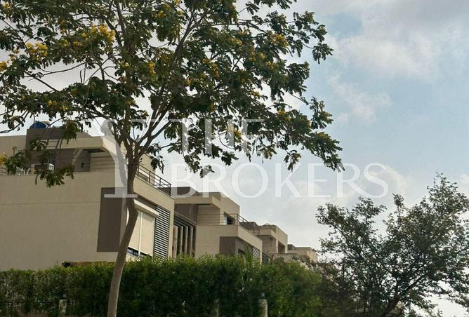 7953755 - صورة العقار 3