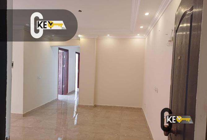 8339361 - Property Image 3