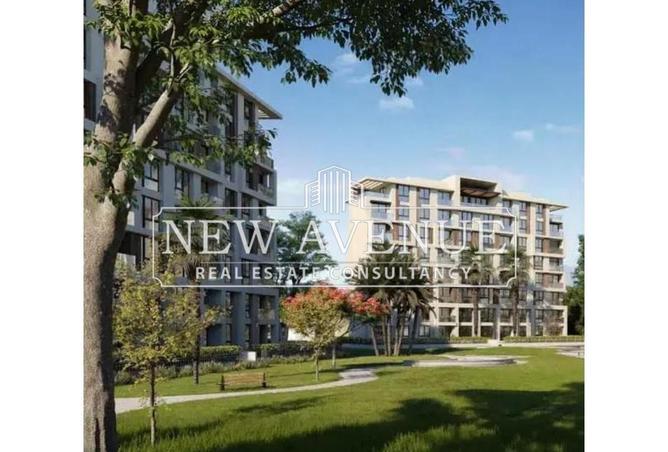 8237527 - Property Image 2