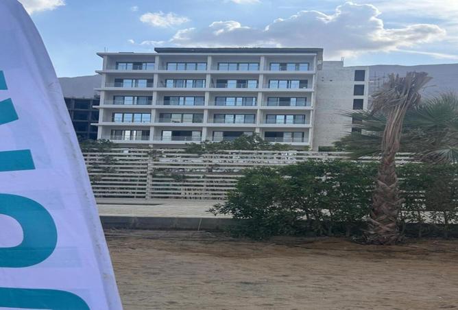 8442626 - صورة العقار 2