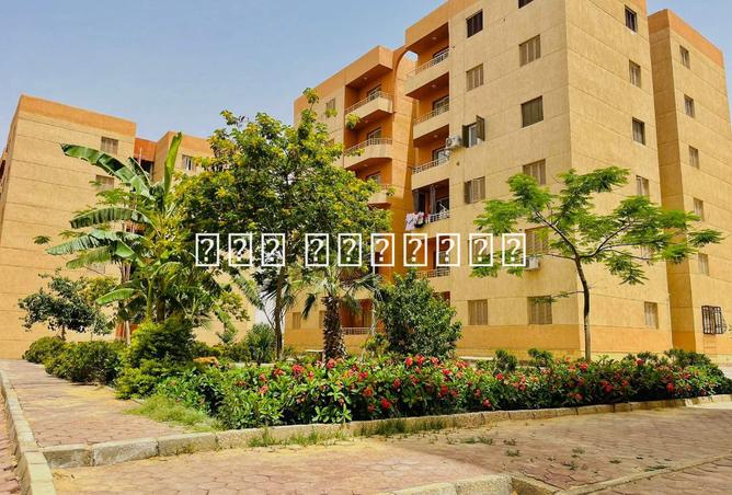 7760890 - Property Image 3