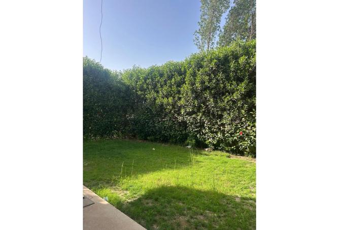 8131722 - صورة العقار 3