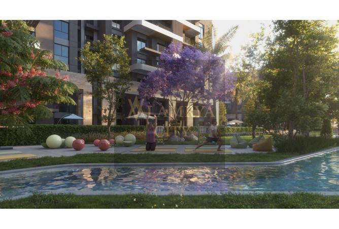 8206438 - Property Image 3