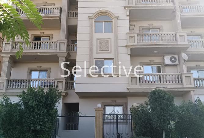 8017676 - Property Image 3