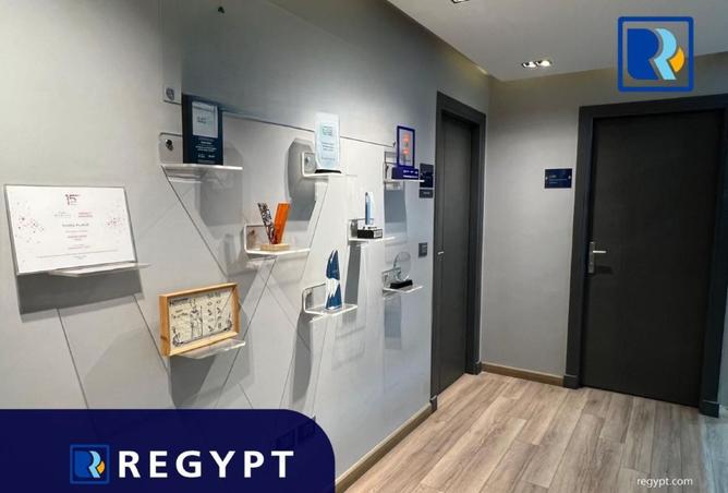 8275848 - Property Image 3