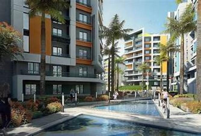 8437598 - Property Image 3