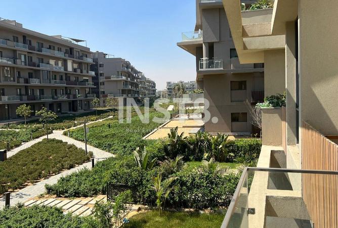 8393748 - Property Image 3