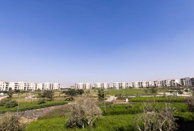 8184586 - Property Image 2