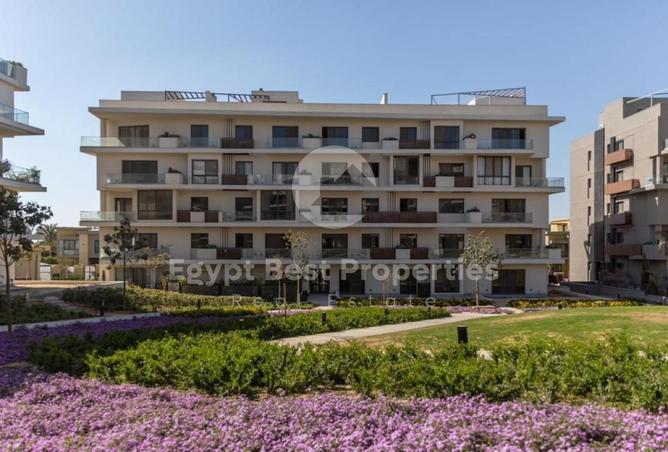 8010764 - Property Image 3