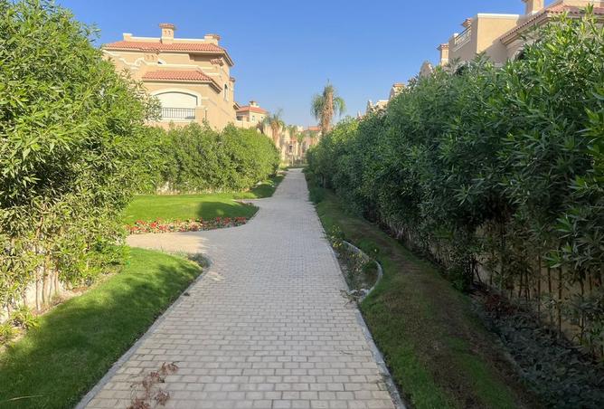 8558078 - صورة العقار 3