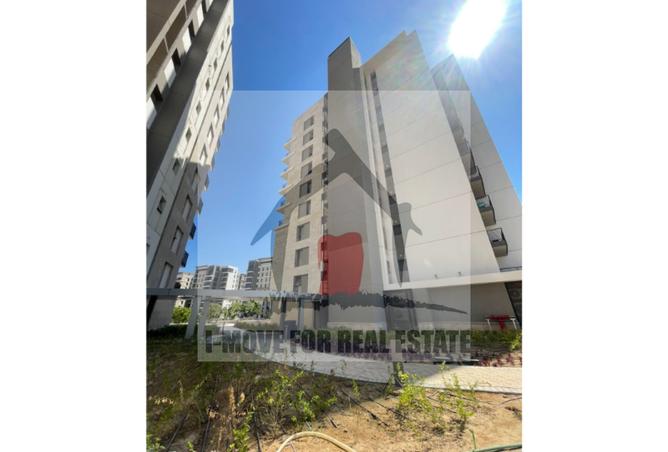 8162169 - صورة العقار 3